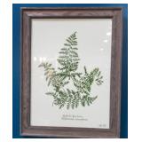 Pressed Fern Giglee Art