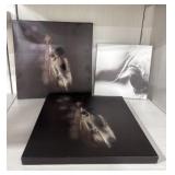 Horse Art on Canvas