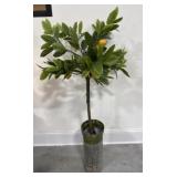 Decorative Lemon Tree