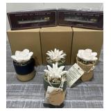 Flower Diffusers