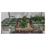 Galvanized Carriers, Tobacco Basket, Faux Plants