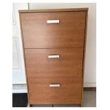 Shoe Storage Cabinet