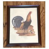 "South Carolina Gamecock" by  E. Dudley Williams