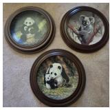 Framed Decorative Collectible Bear Plates