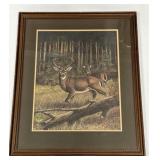 S.C. Seal Deer Print