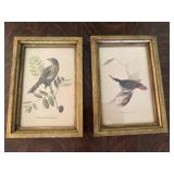 Bird Prints