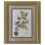 ï¿½ Carolina Wren and Yellow Jessamine'