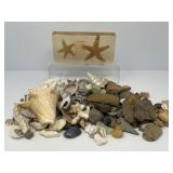 Shell and Stone Collection