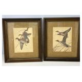 MC Duck Prints