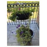 Outdoor Planters