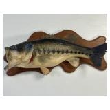 Mounted Big Mouth Bass