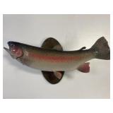 Mounted Trout