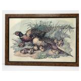 Pheasant Family Print