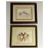 Signed Shell Watercolor, Signed Shell Print