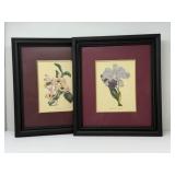 Two Black Framed Floral Prints