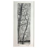 PAMELA CLAUGHTON BIRCH TREES A/P ETCHING