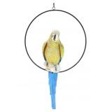 OUTDOOR PERCHED PARROT ON HOOP HANGING DECOR