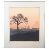 SOIGNED SERIGRAPH 'EDGE OF THE FOREST' 1991 26/200