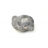 FOSSILIZED SNAIL SHELL