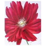 COMPOSITE FLORAL GICLEE PRINT ON CANVAS