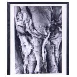 TROY MILLER 'KNOTTY TREE' SIGNED PHOTOGRAPH