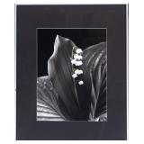 SIGNED LILY OF THE VALLEY PHOTOGRAPH 2002