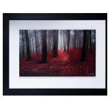 ELIZABETH LANGDON 'AUTUMN FOGGY FOREST' 216/950