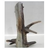 DRFITWOOD SCULPTURE WITH HIDDEN COMPARTMENT