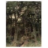 REIFFENSTEIN Landscape Watercolor