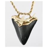 14K Gold Megalodon Pendant & Necklace