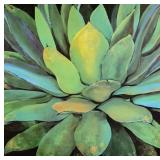 Vintage Large Painting of Agave Plant