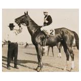 EQUINE PORTRAIT 1926 CUBA FRANK CATRONE