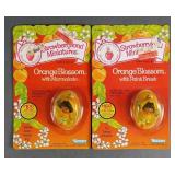 STRAWBERRY SHORTCAKE: ORANGE BLOSSOM (2)