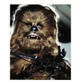 STAR WARS: Peter Mayhew (Chewie) Signed 8x10