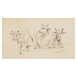 FRIEDRICH VOLTZ Cow Drawing