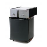 Revel Ultima Sub-15 with LE-1 Amplifier