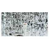 BEV DOOLITTLE Woodland Encounter Print