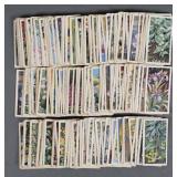 200+ Brooke Bond Tea Cards Wild Flowers