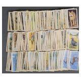 250+ Brooke Bond Tea Cards Wildlife in Danger