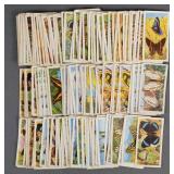 Vtg Brooke Bond Tea Cards Butterflies of the World