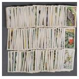 Vtg Brooke Bond Tea Cards Wild Birds in Britain