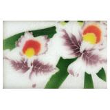 Vintage Japanese Shippo Yaki Orchid Cloisonne
