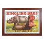 RINGLING BROS Strobridge Poster Hippo Rhino 1916