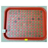 Tray of 100+ Wheat Pennies