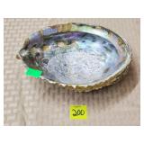 Large Polished Abalone Shell