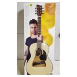 First Act Adam Levine Series Accoustic Guitar, NIB