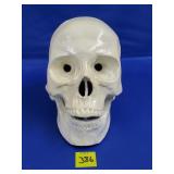 Ceramic Skeleton  Skull