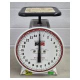 Hanson Model 2000 Utility Scale