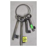 Replica Cast Iron Skeleton Keys on RIng