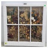 Botanical Shadow Box in 6 Panel Window Frame